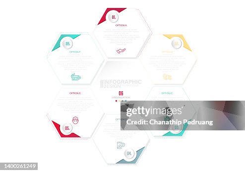 infographics timeline glassmorphism hexagon button... Business Infographics Process With 6 Steps Options Hexagons Vector ...
