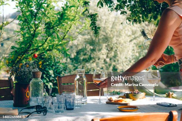 woman setting the table in the backyard. - antipasto fotografías e imágenes de stock