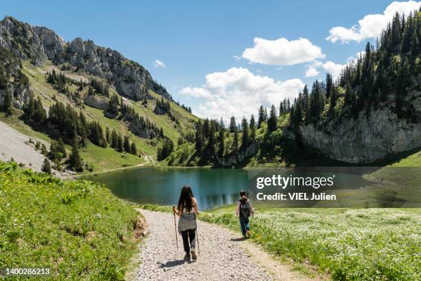 hikers near the arvouin lake - haute savoie stockfoto's en -beelden