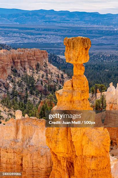 view of rock formations,bryce canyon national park,utah,united states,usa - pinnacle stockfoto's en -beelden