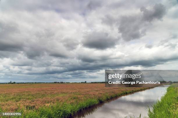 dark storm clouds over a flat landscape and a canal - cloudy stockfoto's en -beelden