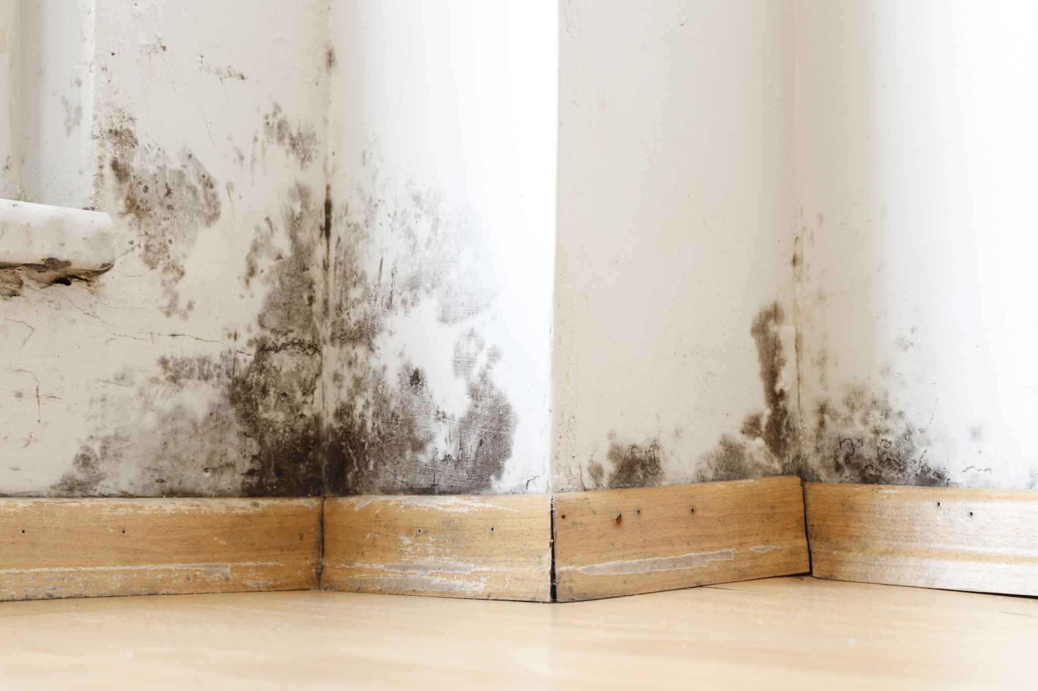 water damaged wall