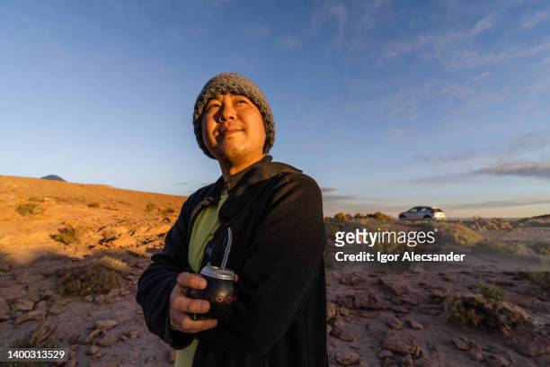 traveler in the atacama desert - altiplano bildbanksfoton och bilder