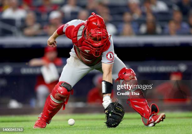 Max Stassi Max Stassi Photos and Premium High Res Pictures - Getty Images
