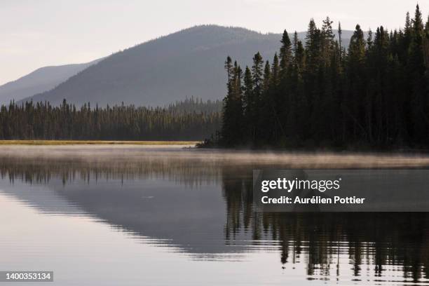 parc national de la gaspésie, petit lac cascapédia - parc national de la gaspésie stock pictures, royalty-free photos & images