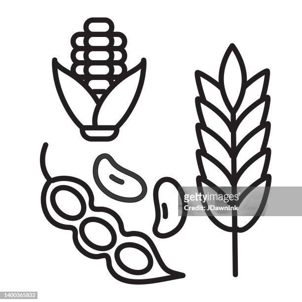 ilustrações, clipart, desenhos animados e ícones de moderna fazenda e agricultura milho cob, soja e trigo ícone estilo linha fina - traço editável - corn on the cob