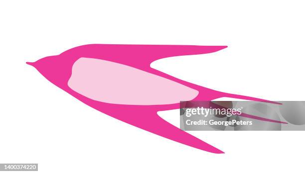barn swallow flying - purple martin stock illustrations