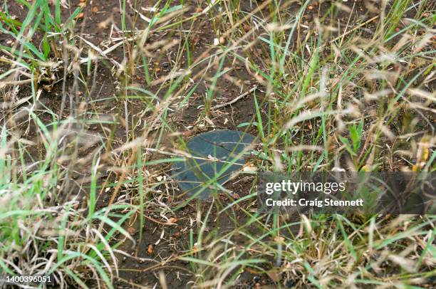 Russian Federation PMN Anti Personnel Blast Mine detected by HALO ( landmine clearance in 'Mubobo' Minefield in Maputo Province, Mozambique on March...