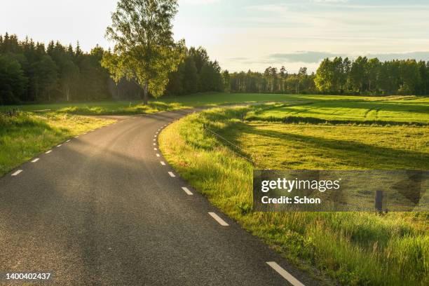 narrow country road in agricultural landscape in spring in evening light - country road imagens e fotografias de stock