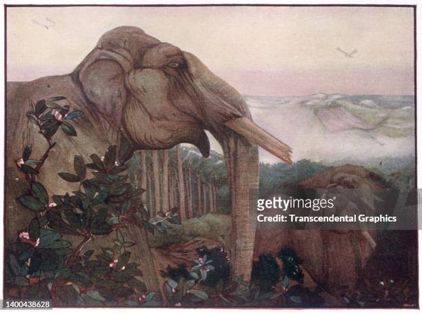 Illustration , from Rudyard Kipling's 'The Jungle Book,' depicts a trio of elephants, 1913. It was published by the New York-based Century Company.