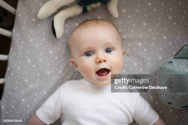 6 month old baby smiling laying in his cradle at home - baby boys stock pictures, royalty-free photos & images