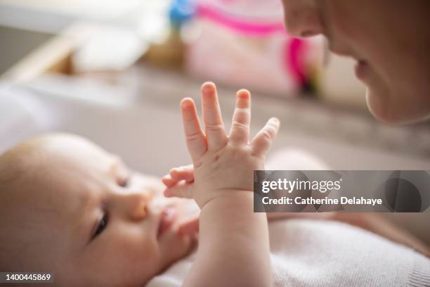 close-up - hands of 6 month old baby at home - change time - 4 months stock pictures, royalty-free photos & images
