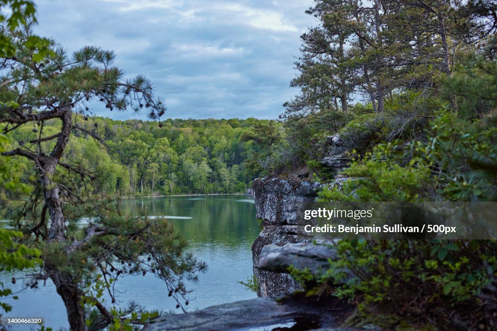 Scenic view of lake in forest against sky,Summersville Lake,West Virginia,United States,USA
