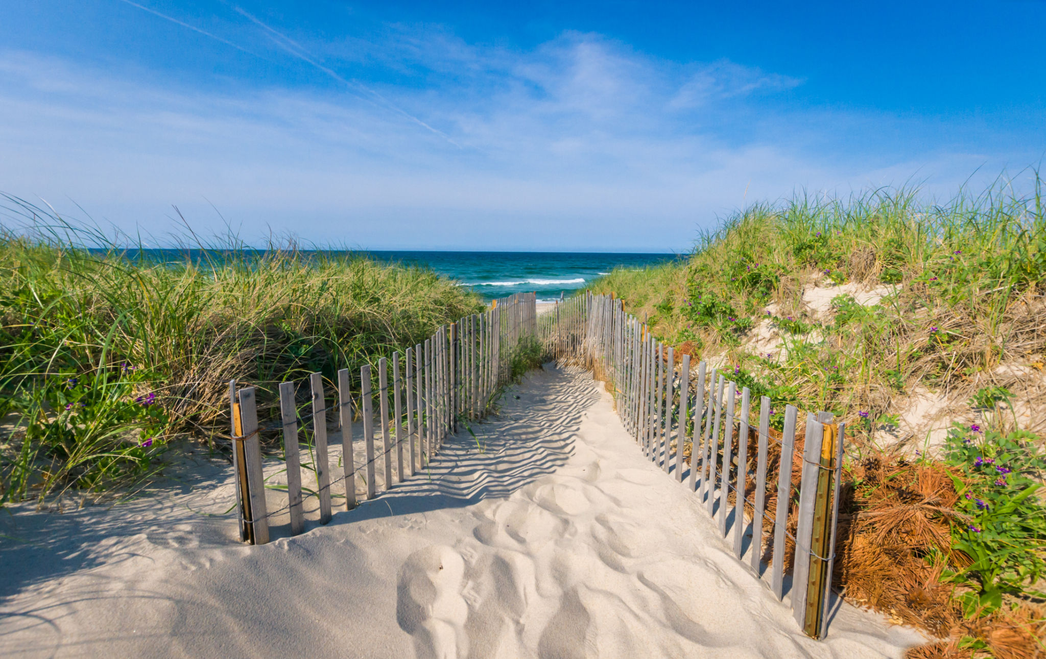 beach walkway