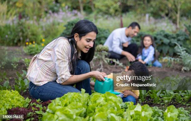 mother teaching her son to water the plants in their home garden - legacy stockfoto's en -beelden