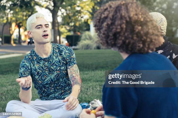 friends having discussion while eating picnic lunch on grass - platinum blonde hair stock pictures, royalty-free photos & images