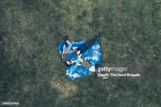 high angle view of gay friends lying on blanket in grass - picknickdecke stock-fotos und bilder