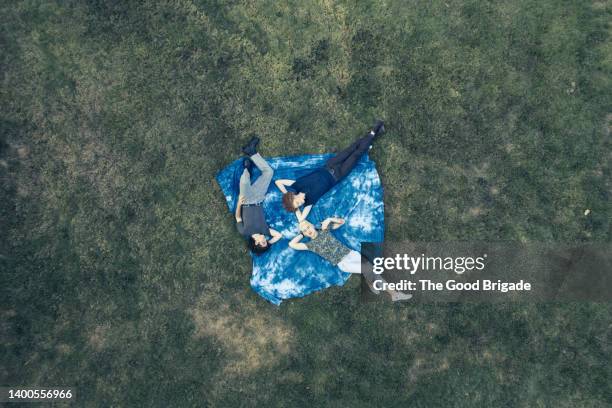 high angle view of gay friends lying on blanket in grass - レジャーシート ストックフォトと画像