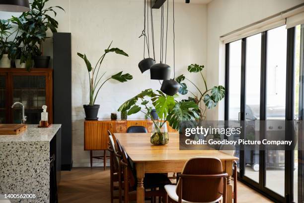 table à manger et chaises assises près des portes-fenêtres dans une maison moderne - plante verte photos et images de collection