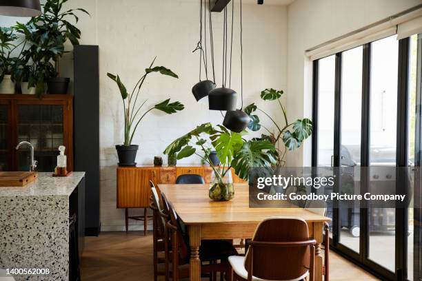 dining table and chairs sitting by patio doors in a modern home - houseplant stock pictures, royalty-free photos & images
