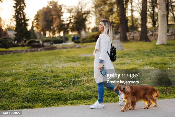 beautiful young woman walking dog in park at sunset - cocker spaniel bildbanksfoton och bilder