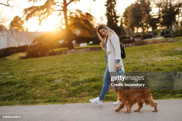 beautiful young woman walking dog in park at sunset - hondenuitlater stockfoto's en -beelden