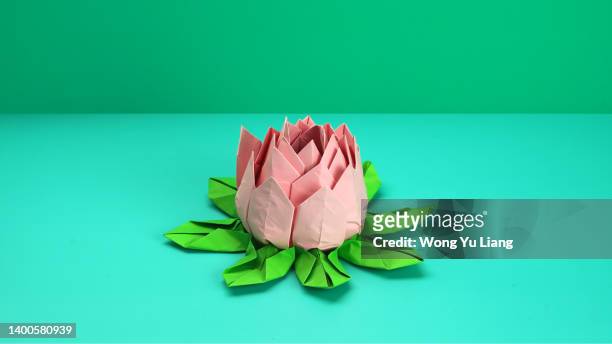 lotus flower origami pastel background - water lily stockfoto's en -beelden