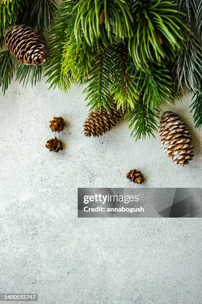 overhead view of pinecones and fir branches on a table - conifer cone stock pictures, royalty-free photos & images