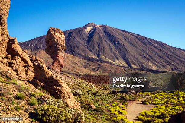 roque cinchado along roques de garcia hiking trail, teide national park, tenerife, canary islands, spain - pico de teide stock-fotos und bilder