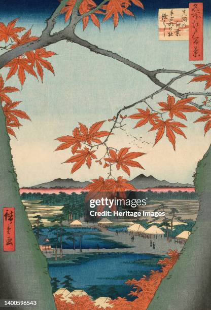 Maple Trees at Mama, Tekona Shrine and Tsugi Bridge , from the series "One Hundred Famous Views of Edo ", 1857. Artist Ando Hiroshige.