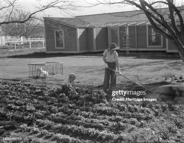 El Monte Federal subsistence homesteads. One hundred homes, each with three quarters of an acre land, all occupied. Average family income, eight...