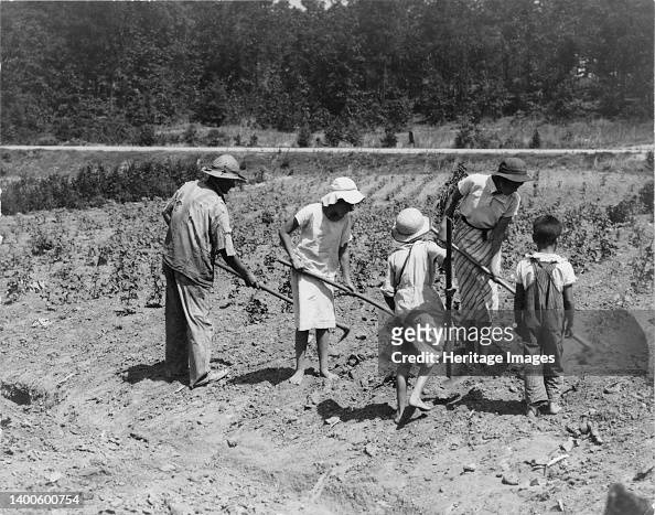 Alabama Tenant Farmer And Children