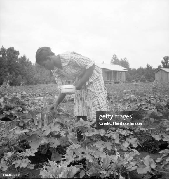 Family of one of the evicted sharecroppers from Arkansas who has been resettled at Hill House, Mississippi. Artist Dorothea Lange.