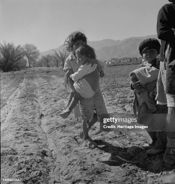Children of migratory Mexican field workers. The older one helps tie carrots in the field. Coachella Valley, California. Artist Dorothea Lange.
