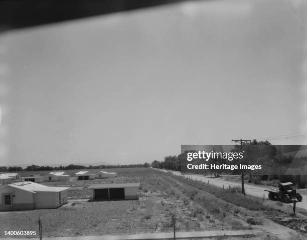 View of Resettlement Administration's part-time farms. Glendale, Arizona. Artist Dorothea Lange.