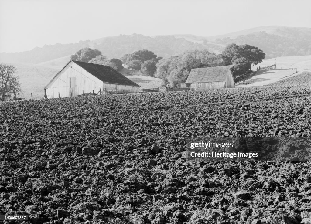 Contra Costa County, California. Stock ranch and plowed field. Artist ...