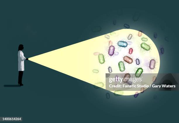 concept image of a woman scientist shining a light on bacterie depicting medical research into disease - bacterie stock-grafiken, -clipart, -cartoons und -symbole