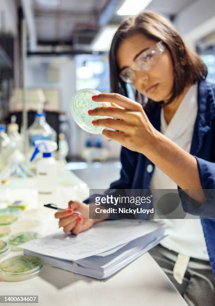 female research scientist recording data from samples in petri dishes in a lab - 微生物學 個照片及圖片檔