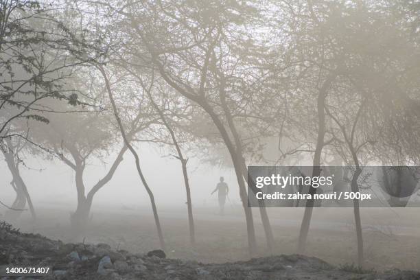 in the middle of the fog,kish island,kish,iran - nouri stock pictures, royalty-free photos & images