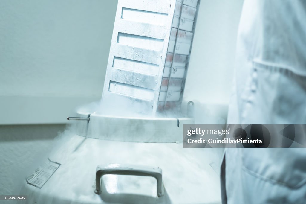 Rack With Cells Inside A Liquid Nitrogen Cryogenic Tank At Life ...