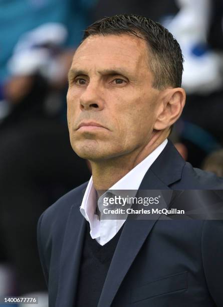 Gus Poyet, Head Coach of Greece looks on prior to the UEFA Nations League League C Group 2 match between Northern Ireland and Greece at Windsor Park...