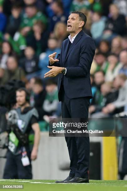 Gus Poyet, Head Coach of Greece gives instructions during the UEFA Nations League League C Group 2 match between Northern Ireland and Greece at...