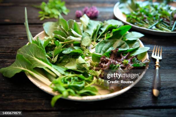 veganer salat, detox-bowl mit grünem kraftwerk - rohkosternährung stock-fotos und bilder