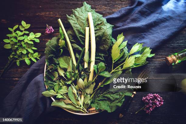 veganer salat, detox-bowl mit grünem kraftwerk - rohkosternährung stock-fotos und bilder
