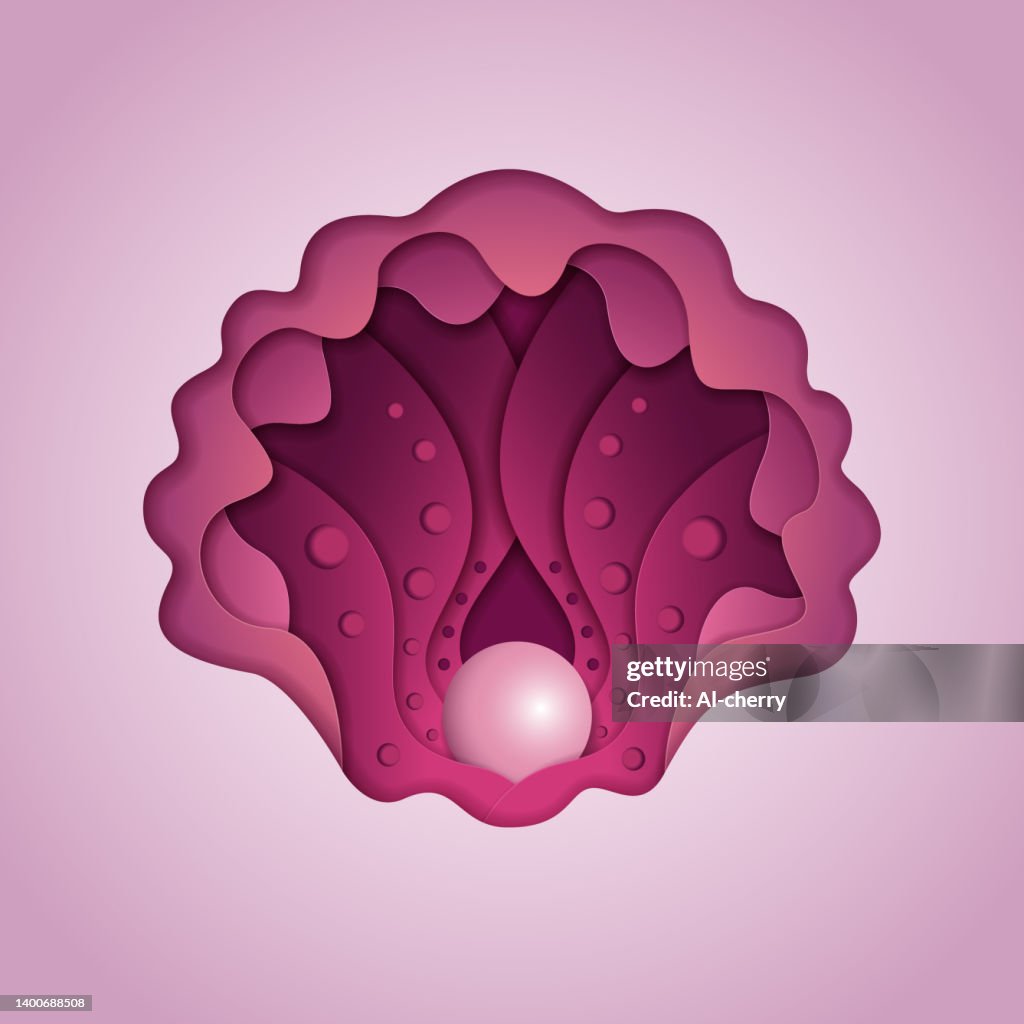 Pink Shell High-Res Vector Graphic - Getty Images