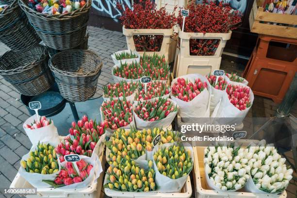 bouquets of colorful tulips for sale on the street in a flower stall. seasonal sale of flowers for st. valentine's day, mother's day, march 8 - flower stall imagens e fotografias de stock