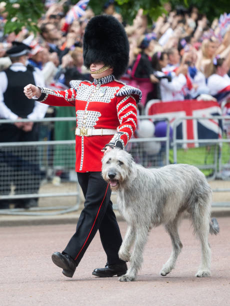 GBR: Queen Elizabeth II Platinum Jubilee 2022 - Dogs