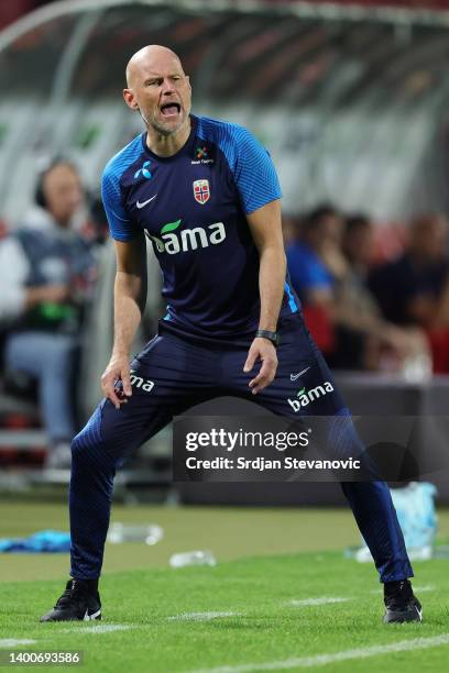 Stale Solbakken, Head Coach of Norway reacts during the UEFA Nations League League B Group 4 match between Serbia and Norway at Stadion Rajko Mitić...