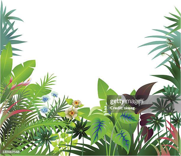 dschungel-grenze - tropischer baum stock-grafiken, -clipart, -cartoons und -symbole