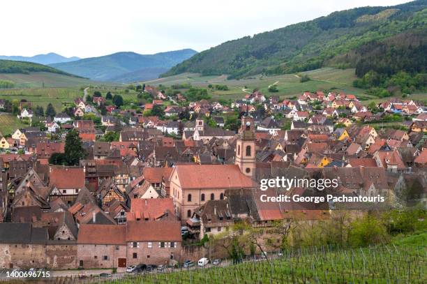 overview of riquewihr, france from the nearby hills - haut rhin fotografías e imágenes de stock